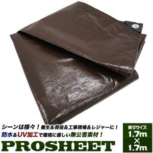 ビニールシート 1.7mX1.7m 厚手 レジャーシート ブラウン