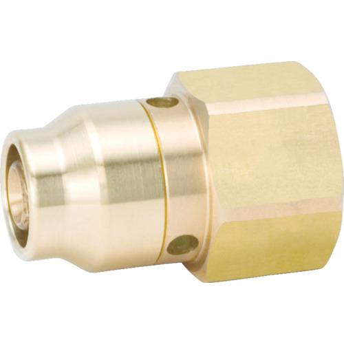 タブチ TBC メスアダプター DRT2 10-F