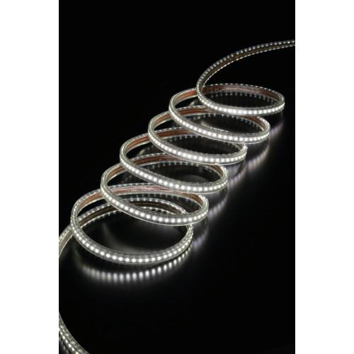 ハタヤ LEDテープライトR片面 RLTP-10