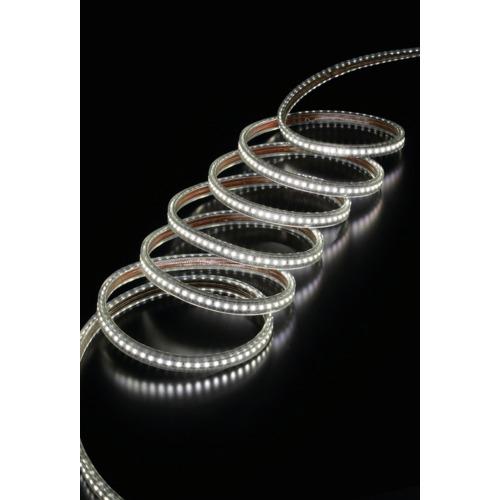 ハタヤ LEDテープライトR片面セット RLTP10S