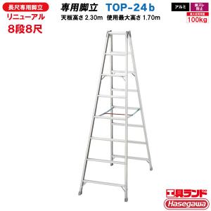 長谷川工業 ハセガワ工業 長尺専用アルミ脚立 TOP-30b 10段10尺 (一部