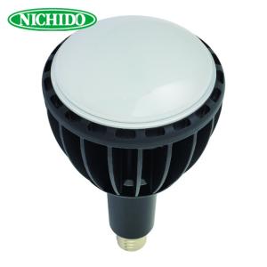 日動工業 NICHIDO LEIS-200D-JW-50K スクエアライト200W 電源装置一
