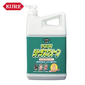 イチネンケミカルズ バイオソープポンプ 2.5kg (1本) 527 : 工具ランド