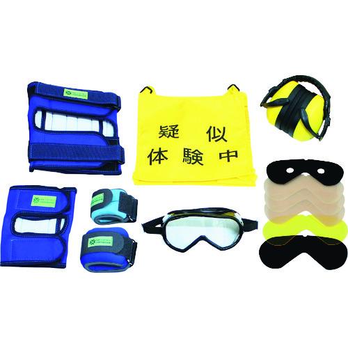 三和製作所 sanwa高齢者疑似体験教材 スタンダードセット2 (1S) 品番：110-060