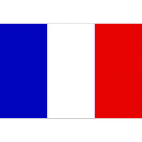 東京製旗 卓上旗(16×24cm)フランス (1枚) 品番：406647