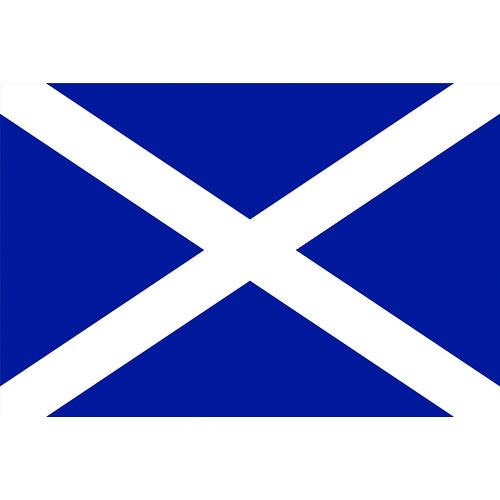 東京製旗 卓上旗(16×24cm)スコットランド (1枚) 品番：406351