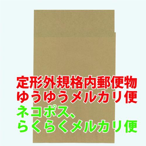 キングコーポ ポストイン封筒小 未晒100g/m2 10枚 (1Pk) 品番：POSTIN10