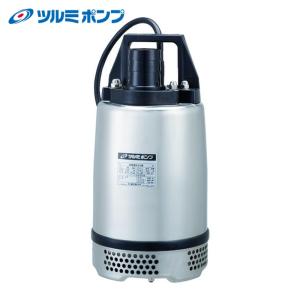 寺田ポンプ TERADA CS-250 60HZ ステンレス水中ポンプ (SUS304) 60Hz
