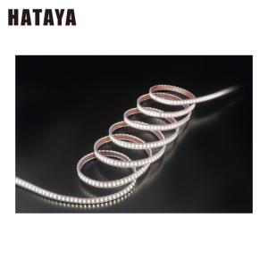 HATAYA（ハタヤ） LTP-5 LEDテープライト片面発光タイプ(5m単体) (1台