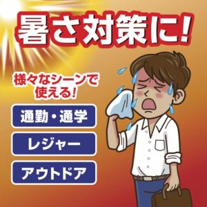 アイスノン 白元 アイスノン爆冷スプレーせっけ...の詳細画像4