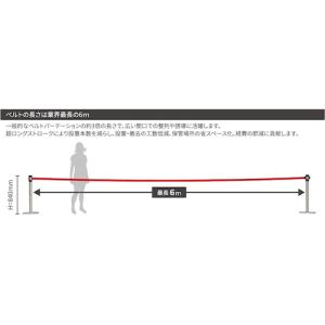リーレックス Reelex BLP-506D ...の詳細画像1