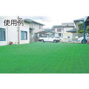 テラモト ユニットターフα中ふちオス (1個)...の詳細画像3