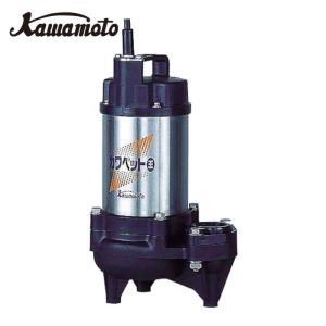 寺田ポンプ TERADA S-500N 60HZ スーパーエース水中ポンプ (1台