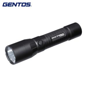 LEDLENSER（レッドレンザー） LEDLENSER LED懐中電灯 充電式 充電式