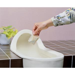 アズマ工業 TK汲み取りバイオ消臭 30包入 ...の詳細画像1