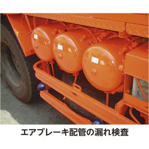 イチネンケミカルズ リークフォーマー 351g...の詳細画像3