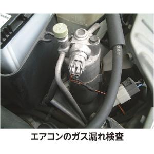 イチネンケミカルズ リークフォーマー 351g...の詳細画像4