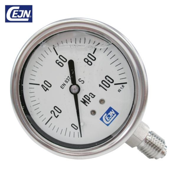 セイン CEJN 19-940-2170 グリセリン入り圧力計 0-100MPa (1個)