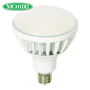 HATAYA 45W LED電球 LDR45N-H110 HATAYA（ハタヤ） LDR45N-H110 45WLED電球 (1台) : 工具ランドプラス
