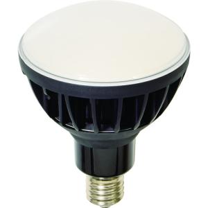 NICHIDO LEDエコピック40W L40V2-J110-50K 日動工業 NICHIDO L40V2-J110-50K 投光器用LED交換球 ハイスペックエコ