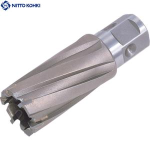 日東　ジェットブローチ　ワンタッチタイプ　１９．５Ｘ３５Ｌ　１６３８２　（1本）　品番：NO.16382