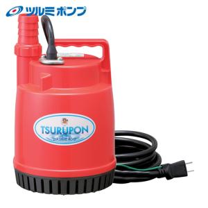 寺田ポンプ TERADA S-500N HOSESET 60HZ スーパーエース水中ポンプ