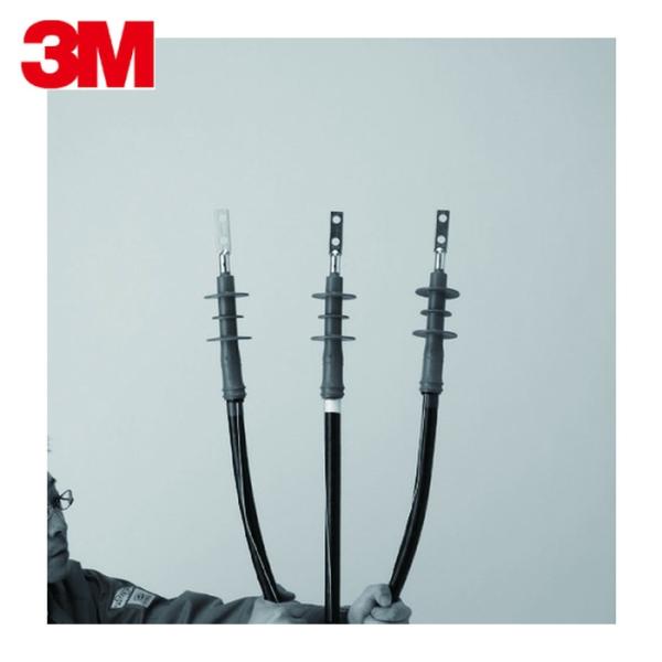 3M スリーエム T6SB-R3-O100-EM 関東ハイ-KタームII-EM(屋外用)CVT100...