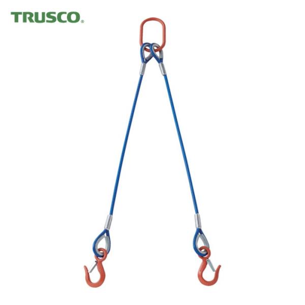 トラスコ TRUSCO 2本吊玉掛ワイヤーロープスリング(カラー被覆付)アルミロックタイプ 青透明2...