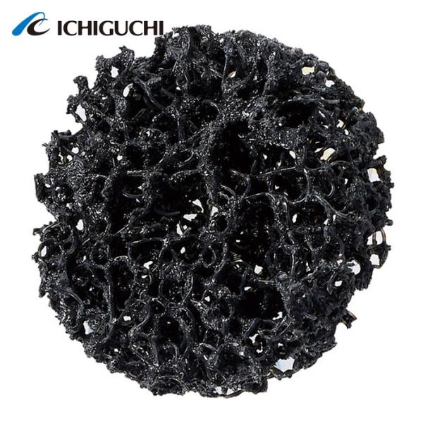 イチグチ BRFW7513 ブレイドホイル穴あき (10個)