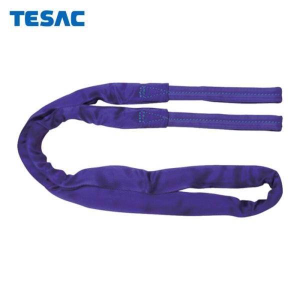 テザック TESAC TBSE1.0TX1M ブルースリングソフトE形(両端アイタイプ)荷重1t 全...