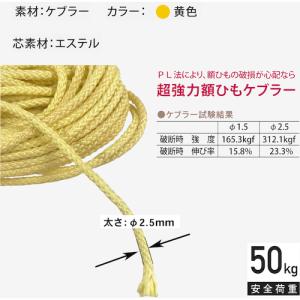 福井金属工芸 ケブラーひも2.5mm 4m F...の詳細画像1