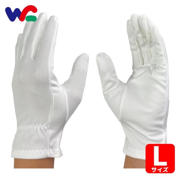 ウインセス ワイピング手袋 L (10双入) (1袋) 8060-L