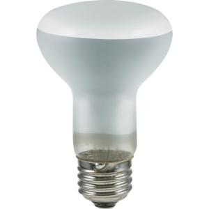 ＥＬＰＡ　長寿命レフランプ　Ｅ２６　６０Ｗ　ホワイト ERF110V60W-L