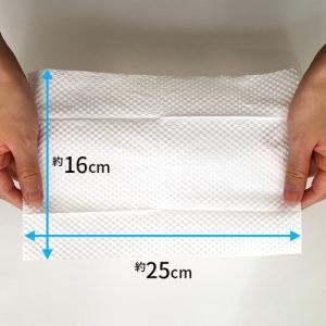 LEC 激落ち除菌流せるトイレクリーナー 24...の詳細画像1