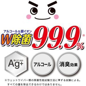 LEC 激落ち除菌流せるトイレクリーナー 24...の詳細画像3