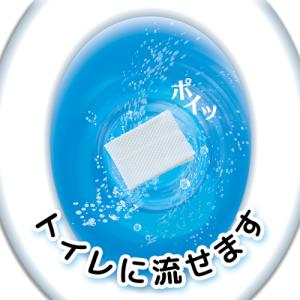 LEC 激落ち除菌流せるトイレクリーナー 24...の詳細画像4