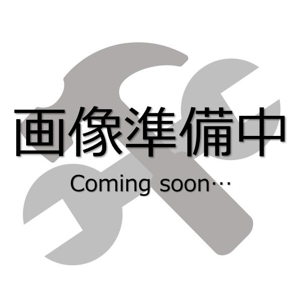 「送料別途見積」ワグナー　トレードチップ３ 0553515≪お取寄商品≫