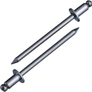 エビ　ブラインドリベット（ステンレス／ステンレス製）　４−２（４５本入）　エコパック