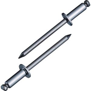 ロブスティック　ブラインドリベッター LOBSTER ロブテックス 高強度ブラインドリベット Φ6.4/板厚9.5mm (15本