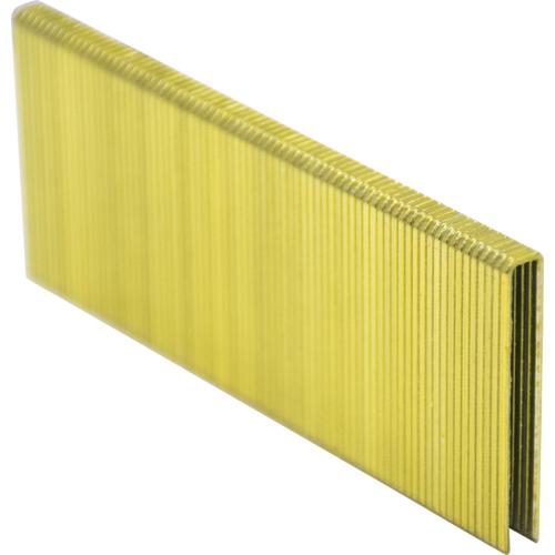 ＷＡＫＡＩ　フロアーステープル　４ｍｍ幅　４×５０ PT450F