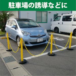 CAR-BOY カラープラポール ベース ブラ...の詳細画像4