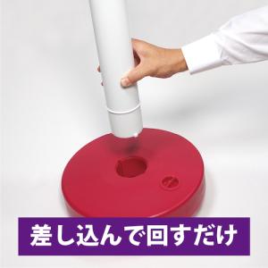 CAR-BOY カラープラポール ベース ブラ...の詳細画像5