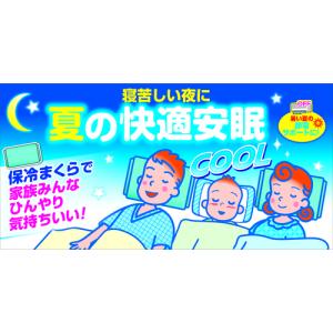 アイスノン アイスノンソフト 02034-0の詳細画像1