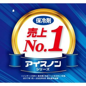 アイスノン アイスノンソフト 02034-0の詳細画像2