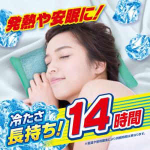 アイスノン アイスノンソフト 02034-0の詳細画像3