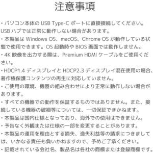 RATOC USB Type-C to デュア...の詳細画像4