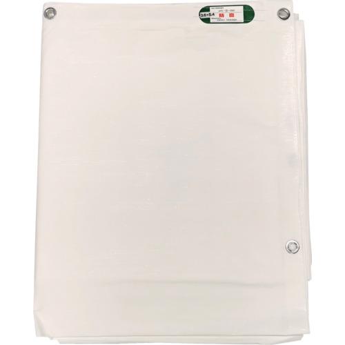 TRUSCO(トラスコ)　超軽量防炎シート　１０×１０ｍ LFCLS-1010