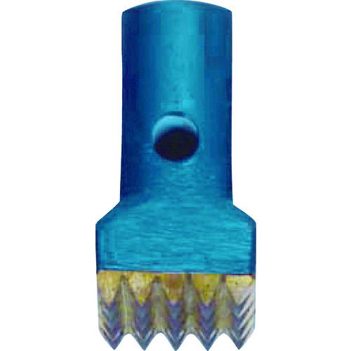 ＮＰＫ　ビシャン刃　２５刃　ＮＢー１０Ａ用 17511290