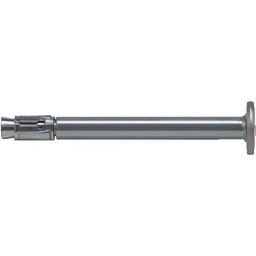 フィッシャー　ネイルアンカー　ＦＮＡ２　６Ｘ３０／５０　Ａ４　（５０本入） 46024