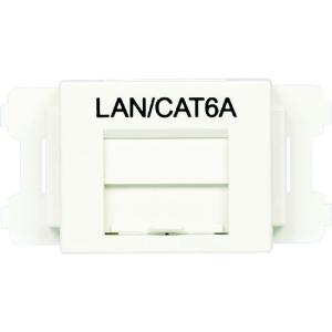 PANDUIT（パンドウイット） カテゴリ6A モジュラージャック オフ